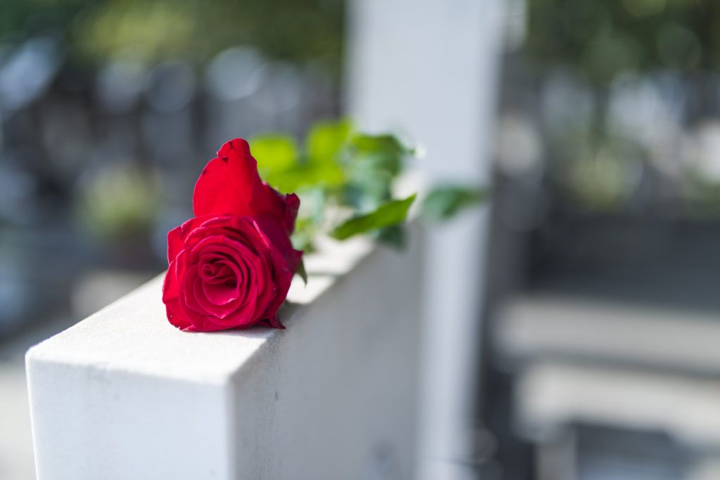 Red rose on the tombstone. Rose in a cemetery with headstone. Red rose flower on a grave in a cemetery. Flower at a funeral. Tragedy and sorrow for the loss of a loved one.